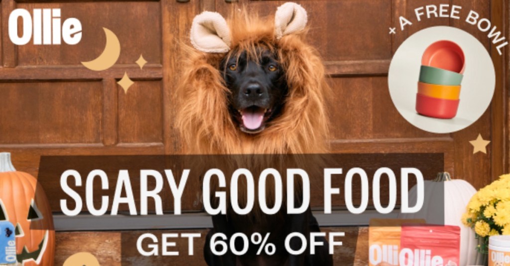 Ollie’s Fresh Dog Food: 60% OFF and&nbsp;FREEBIES!